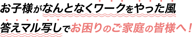 お子様がなんとなくワークをやった風 答えマル写しでお困りのご家庭の皆様へ！